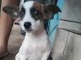 Princesa