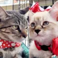Bia e Belinha