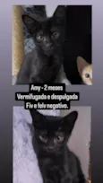 Amy