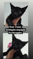 PENNY