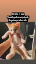 PIRULITO