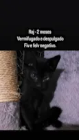 RAJ