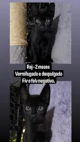 RAJ