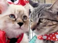 Bia e Belinha