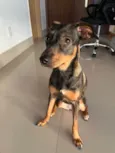 Patrícia