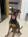 Patrícia