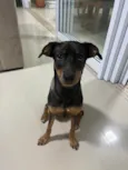Patrícia