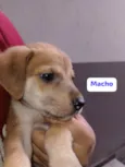 Não tem nome