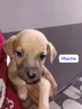 Não tem nome