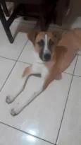 Lindinha