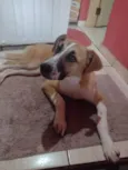 Lindinha