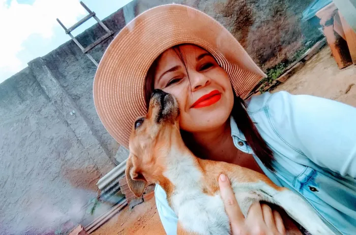 Cachorro ra a Mãe era Pincher 2 idade 6 ou mais anos nome Luí