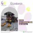 Elizabeth