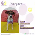 Margareth