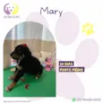Mary