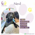 Nenê