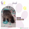 José
