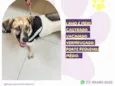 Juninho