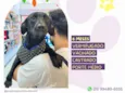 Nenê