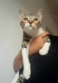 Mirna