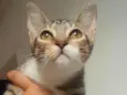 Mirna