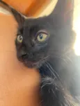 Miguel