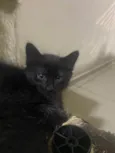 Miguel