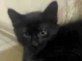 Miguel