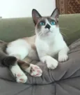 Nick