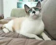 Nick