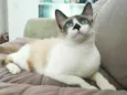 Nick