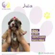 Julia