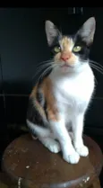 Agnes