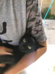 Faísca