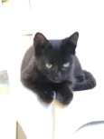 Faísca