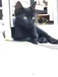 Fumaça