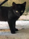 Lua