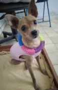 Mel