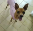 Mel