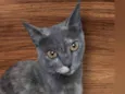 KEKA