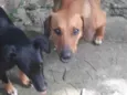 Dois meninos Sem nome