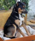 Perdido Encontrado