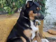 Perdido Encontrado