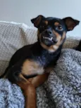 CHIQUINHA