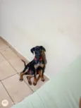 Lua