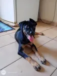 Lua