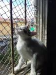 ARTURO
