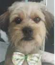 Bob
