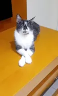 AIKA