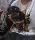 Rocky